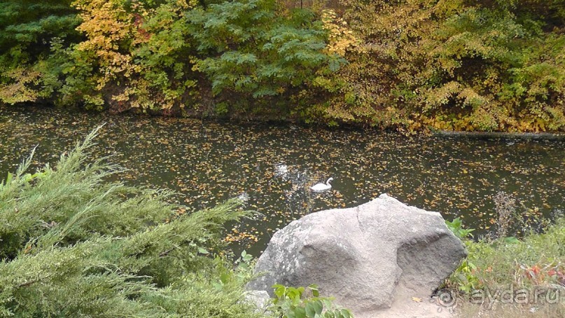 Альбом отзыва "Парк "Александрия" и г. Белая Церковь. Часть I"