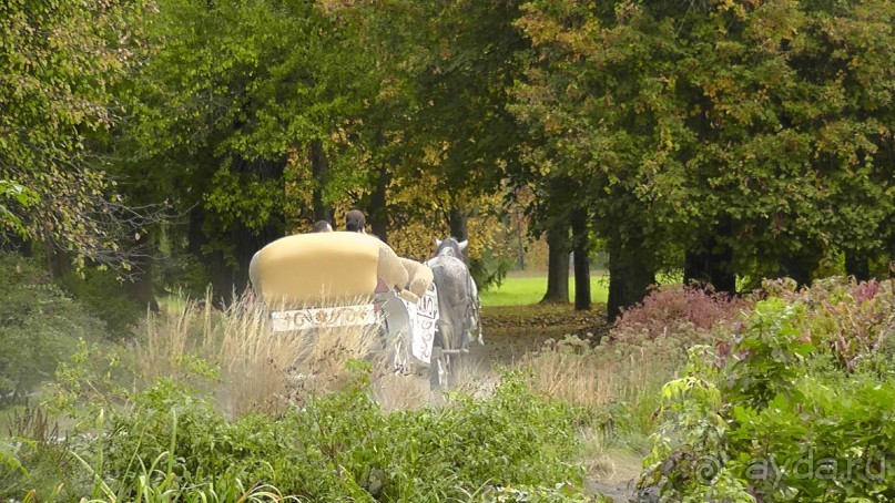 Альбом отзыва "Парк "Александрия" и г. Белая Церковь. Часть I"