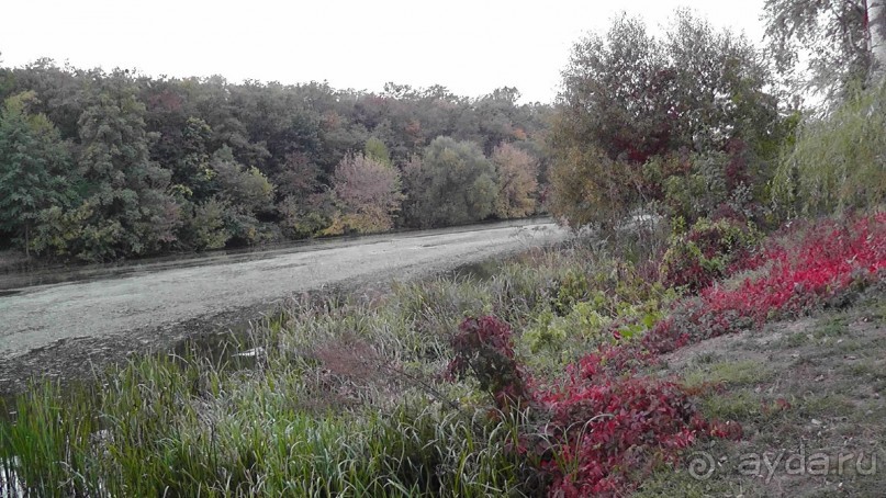 Альбом отзыва "Парк "Александрия" и г. Белая Церковь. Часть I"