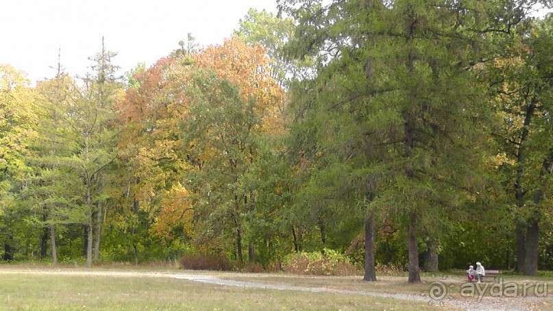 Альбом отзыва "Парк "Александрия" и г. Белая Церковь. Часть I"