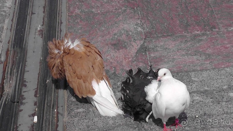 Москва-всё в этом слове! Часть I - Арбат, Бородинская панорама, Храм Спасителя, Кремль и Кр.площадь