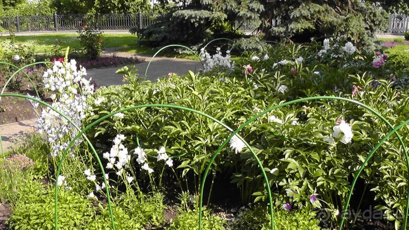 Москва-всё в этом слове! Часть I - Арбат, Бородинская панорама, Храм Спасителя, Кремль и Кр.площадь