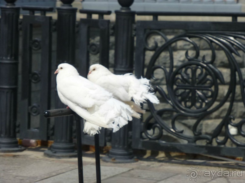 Москва-всё в этом слове! Часть I - Арбат, Бородинская панорама, Храм Спасителя, Кремль и Кр.площадь