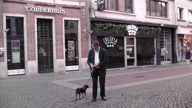 Антверпен, Бельгия. «Гулять, так гулять!». 6 часов, 6 часов - это много или мало?