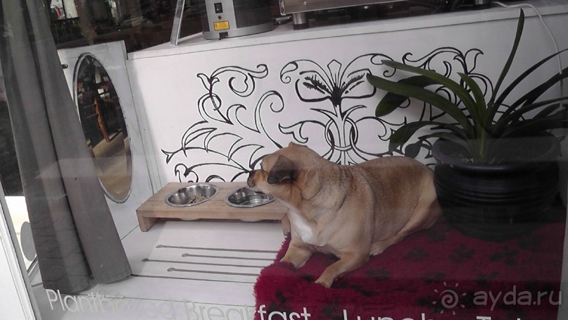 Антверпен, Бельгия. «Гулять, так гулять!». 6 часов, 6 часов - это много или мало?