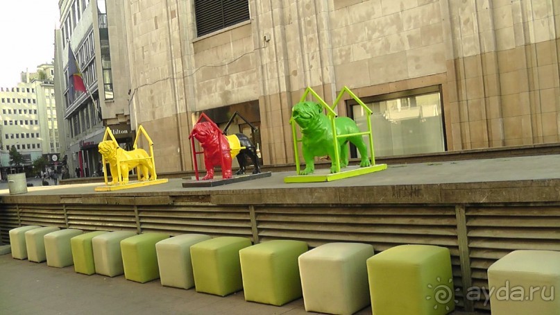 Антверпен, Бельгия. «Гулять, так гулять!». 6 часов, 6 часов - это много или мало?