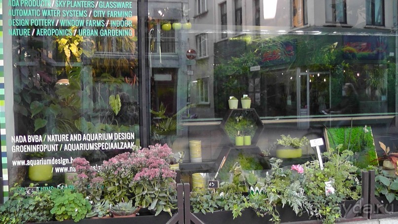 Антверпен, Бельгия. «Гулять, так гулять!». 6 часов, 6 часов - это много или мало?