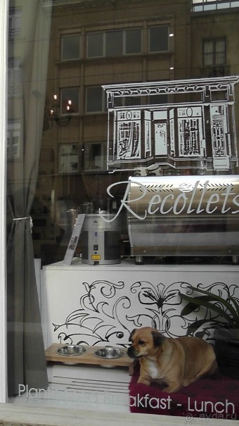 Антверпен, Бельгия. «Гулять, так гулять!». 6 часов, 6 часов - это много или мало?