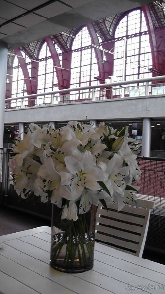 Антверпен, Бельгия. «Гулять, так гулять!». 6 часов, 6 часов - это много или мало?