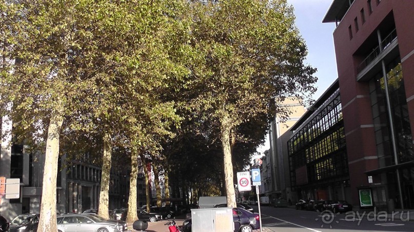 Антверпен, Бельгия. «Гулять, так гулять!». 6 часов, 6 часов - это много или мало?