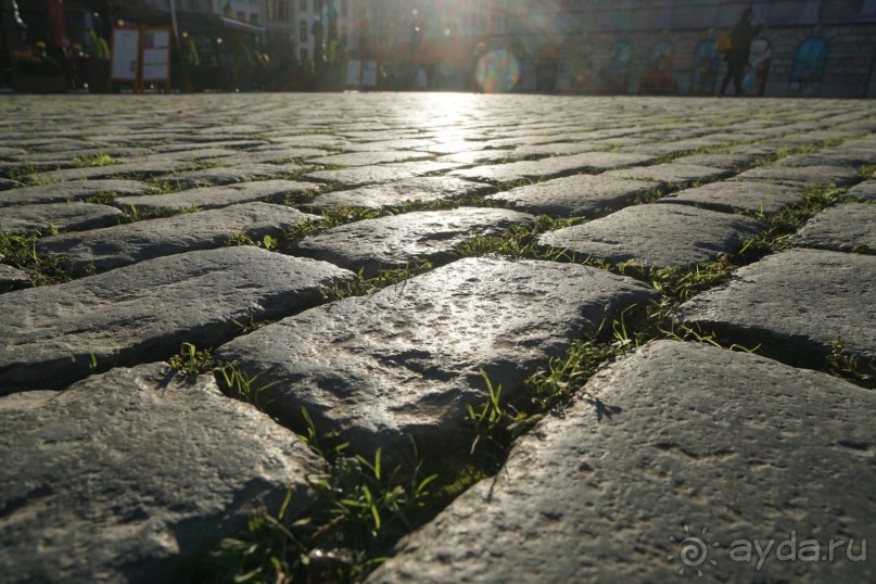 Антверпен, Бельгия. «Гулять, так гулять!». 6 часов, 6 часов - это много или мало?