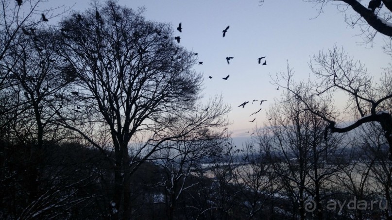 Альбом отзыва "Киев. Киево-Печерская Лавра - "cуету оставив позади...""