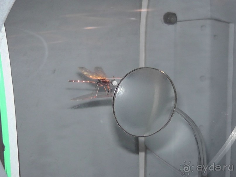 Альбом отзыва "Киев. Киево-Печерская Лавра - "cуету оставив позади...""