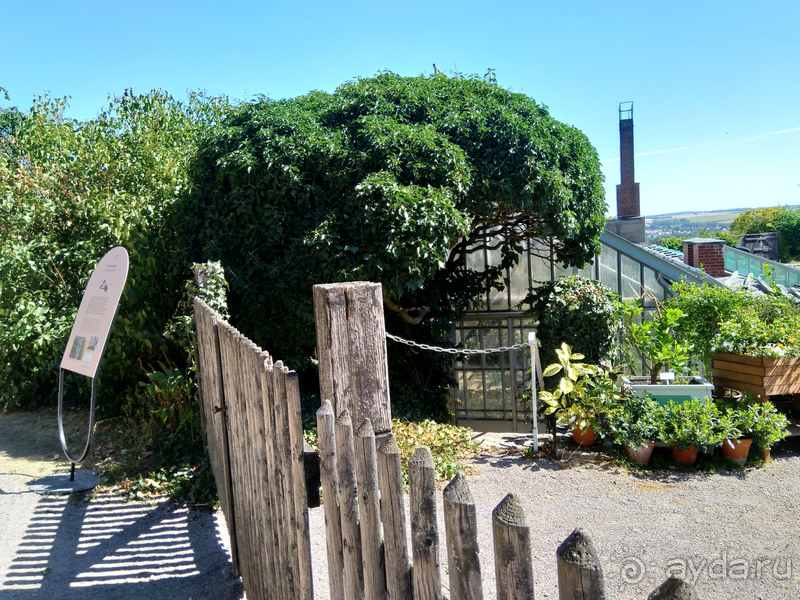 Тюрингия, Германия. Усадьба Бельведер «прелестного лебедя в Веймаре.