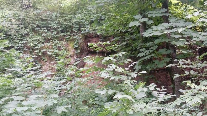 Альбом отзыва "Корсунь-Шевченковский. Дворец и парк последнего принца Речи Посполитой."