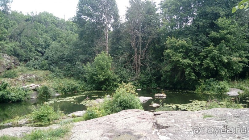 Альбом отзыва "Корсунь-Шевченковский. Дворец и парк последнего принца Речи Посполитой."