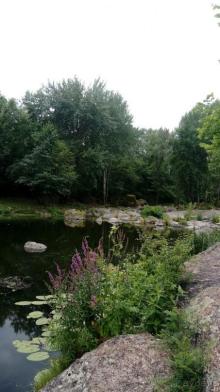 Альбом отзыва "Корсунь-Шевченковский. Дворец и парк последнего принца Речи Посполитой."