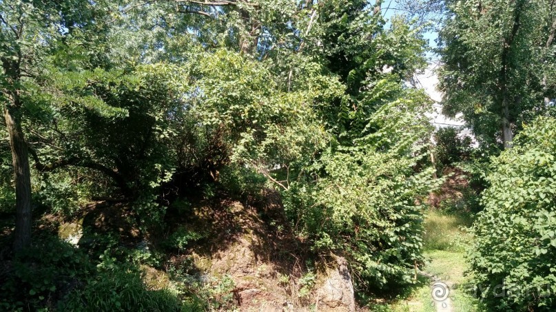 Альбом отзыва "Корсунь-Шевченковский. Дворец и парк последнего принца Речи Посполитой."