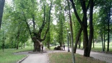 Альбом отзыва "Корсунь-Шевченковский. Дворец и парк последнего принца Речи Посполитой."