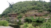 Альбом отзыва "Корсунь-Шевченковский. Дворец и парк последнего принца Речи Посполитой."