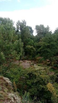 Альбом отзыва "Корсунь-Шевченковский. Дворец и парк последнего принца Речи Посполитой."