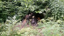 Альбом отзыва "Корсунь-Шевченковский. Дворец и парк последнего принца Речи Посполитой."