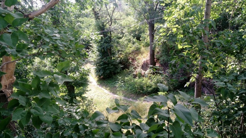 Альбом отзыва "Корсунь-Шевченковский. Дворец и парк последнего принца Речи Посполитой."