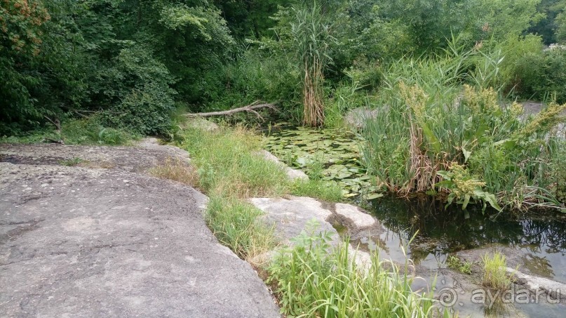 Корсунь-Шевченковский. Дворец и парк последнего принца Речи Посполитой.