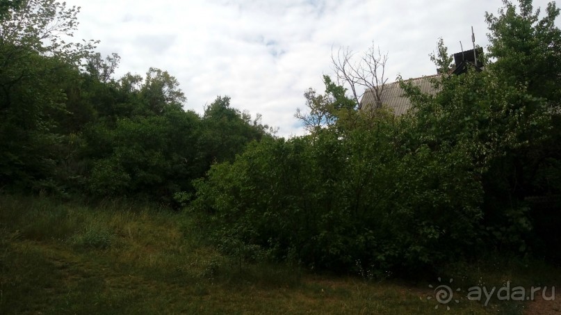 Корсунь-Шевченковский. Дворец и парк последнего принца Речи Посполитой.