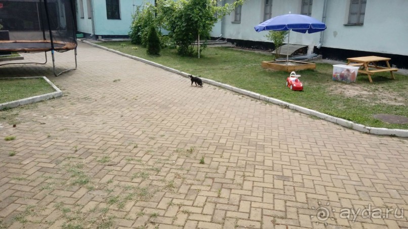 Корсунь-Шевченковский. Дворец и парк последнего принца Речи Посполитой.