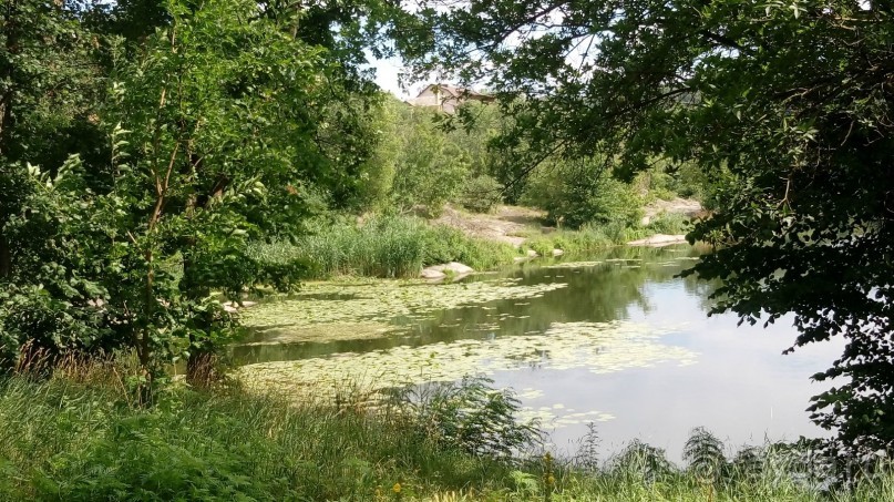 Корсунь-Шевченковский. Дворец и парк последнего принца Речи Посполитой.