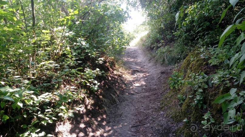 Корсунь-Шевченковский. Дворец и парк последнего принца Речи Посполитой.