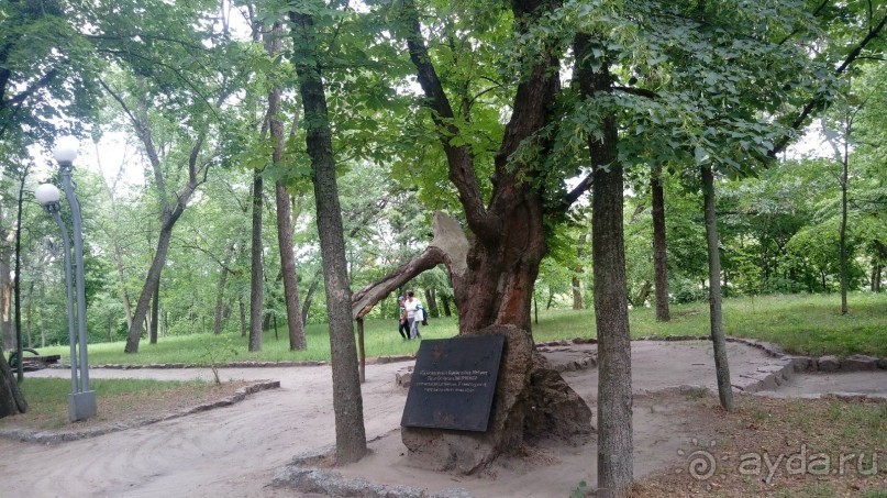 Корсунь-Шевченковский. Дворец и парк последнего принца Речи Посполитой.