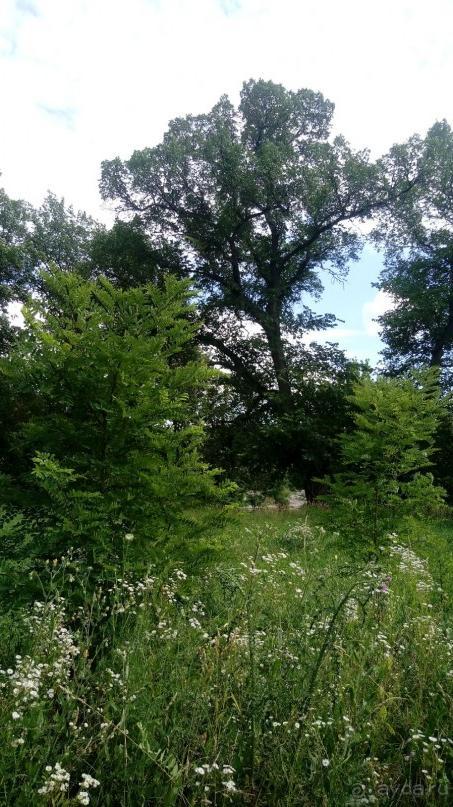 Корсунь-Шевченковский. Дворец и парк последнего принца Речи Посполитой.