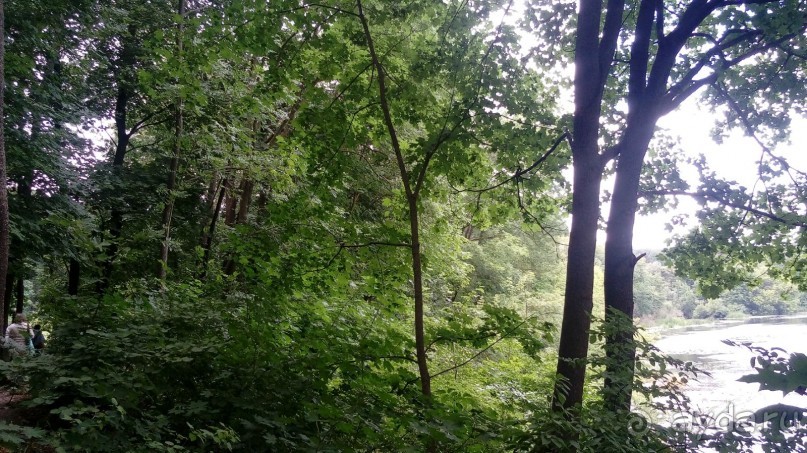 Корсунь-Шевченковский. Дворец и парк последнего принца Речи Посполитой.