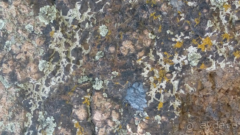 Корсунь-Шевченковский. Дворец и парк последнего принца Речи Посполитой.