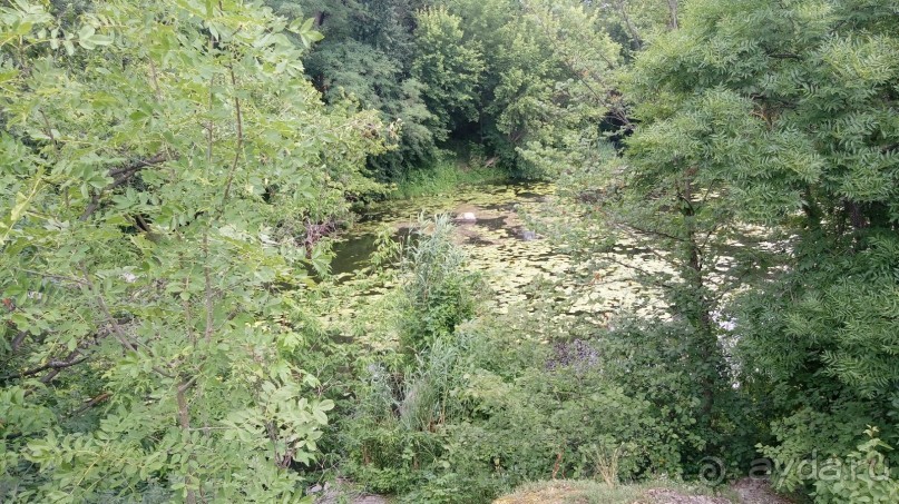 Корсунь-Шевченковский. Дворец и парк последнего принца Речи Посполитой.