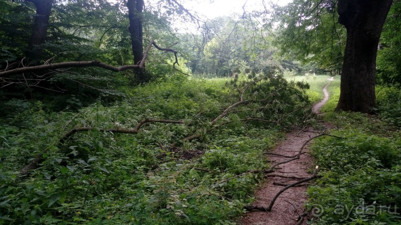 Корсунь-Шевченковский. Дворец и парк последнего принца Речи Посполитой.