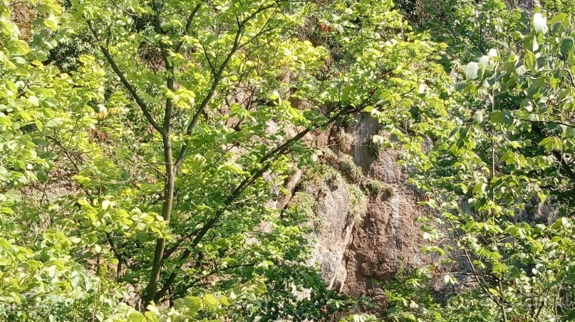 Корсунь-Шевченковский. Дворец и парк последнего принца Речи Посполитой.
