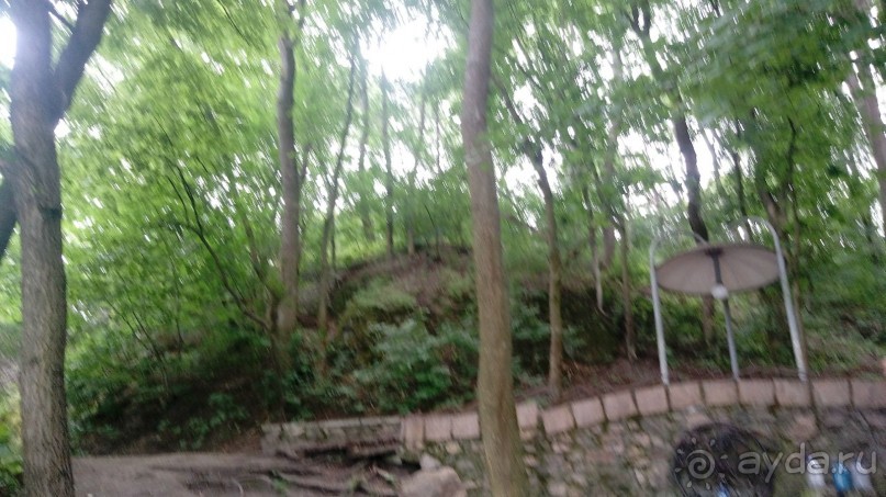 Корсунь-Шевченковский. Дворец и парк последнего принца Речи Посполитой.