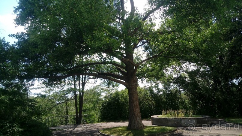 Корсунь-Шевченковский. Дворец и парк последнего принца Речи Посполитой.