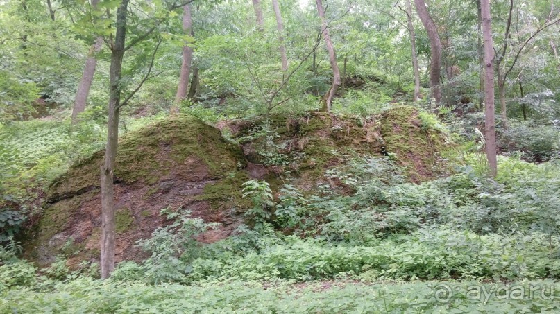 Корсунь-Шевченковский. Дворец и парк последнего принца Речи Посполитой.