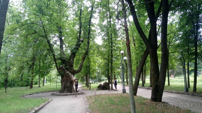 Корсунь-Шевченковский. Дворец и парк последнего принца Речи Посполитой.