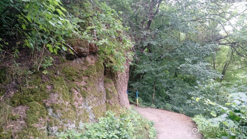 Корсунь-Шевченковский. Дворец и парк последнего принца Речи Посполитой.