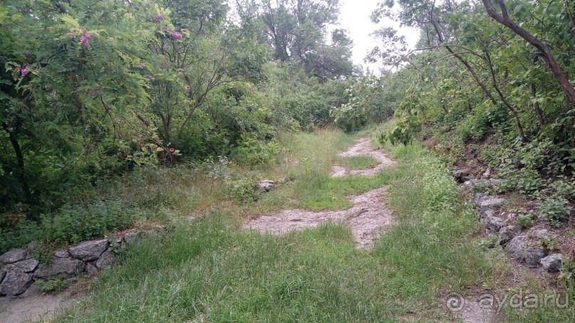 Корсунь-Шевченковский. Дворец и парк последнего принца Речи Посполитой.