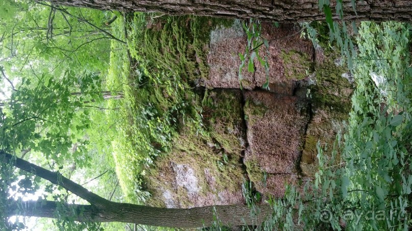 Корсунь-Шевченковский. Дворец и парк последнего принца Речи Посполитой.