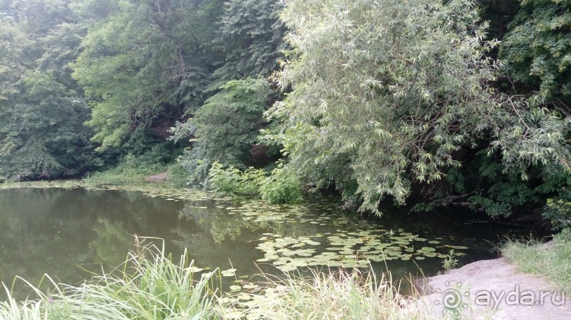 Корсунь-Шевченковский. Дворец и парк последнего принца Речи Посполитой.