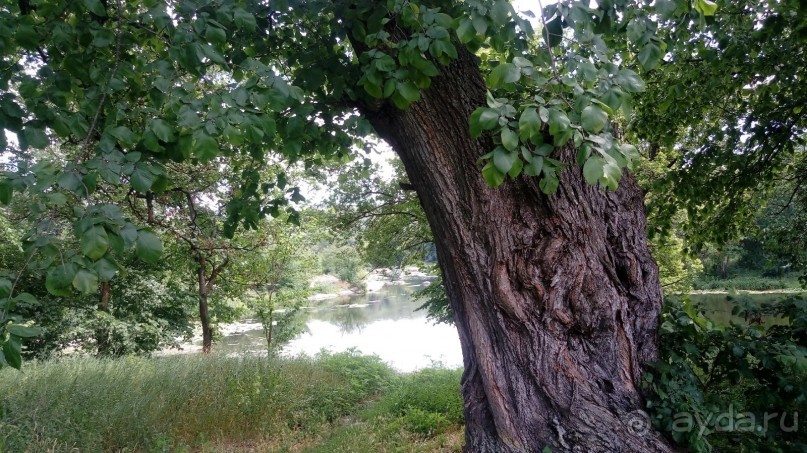 Корсунь-Шевченковский. Дворец и парк последнего принца Речи Посполитой.
