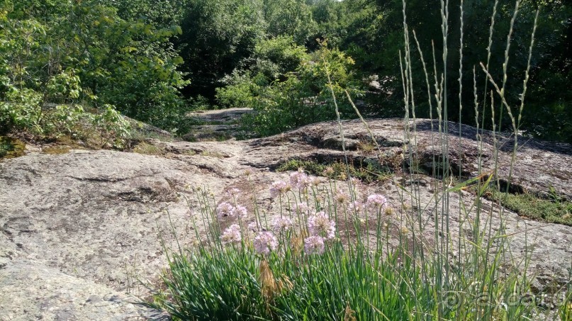 Корсунь-Шевченковский. Дворец и парк последнего принца Речи Посполитой.