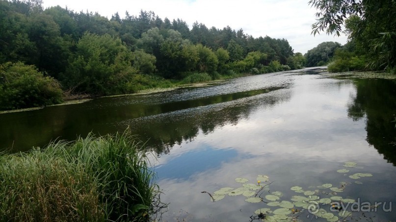 Корсунь-Шевченковский. Дворец и парк последнего принца Речи Посполитой.
